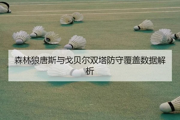 森林狼唐斯与戈贝尔双塔防守覆盖数据解析